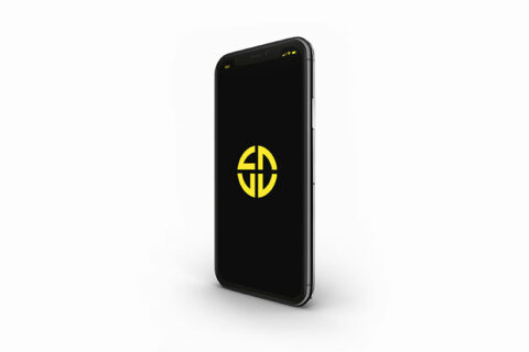 Nullam eu ipsum